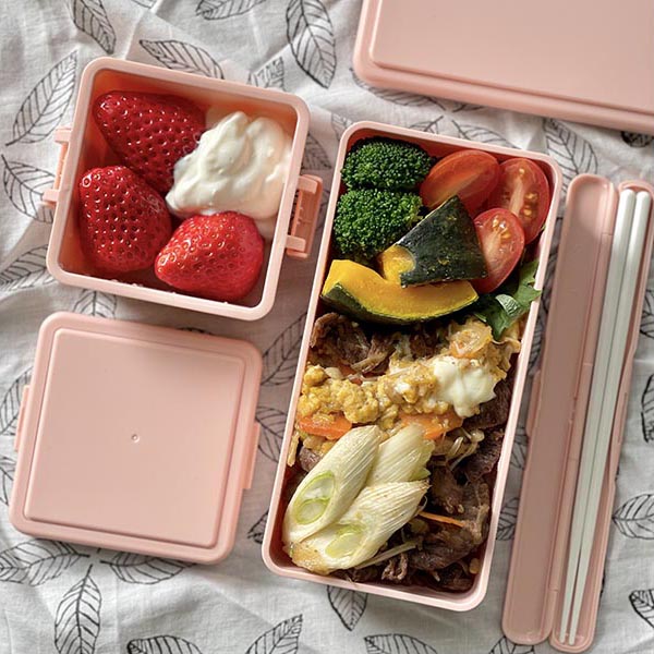 GEL-COOL - 日本保冷便當盒 飯盒 長方形 M 400ml - 平行進口