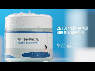 ROUND LAB - 白樺樹補水面霜 80ml - 平行進口