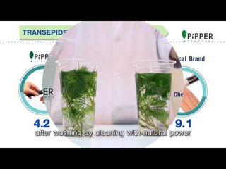 PiPPER Standard - 【守護神六套裝D】洗潔精連補充裝2包、地板清潔劑連補充裝2包、檸檬草香洗衣液連補充裝2包