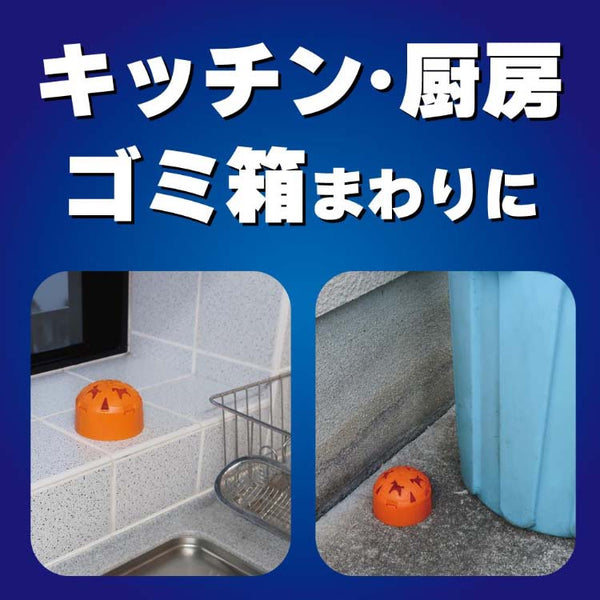 金鳥牌 - 果蠅誘捕器  2個裝 - 平行進口