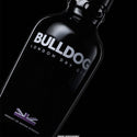 BULLDOG - London Dry Gin 75cl (Alc 40%) 750ml