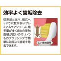 EBISU - Super Care|#82 寬頭牙刷 | 中毛 | 4支| 顏色隨機 - 平行進口