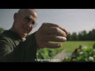 Fresh - 睡蓮青春賦活面霜 50ml|平行進口