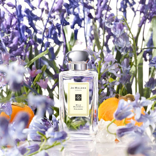 Jo Malone - 預訂|  Wild Bluebell 藍風鈴古龍水 連禮盒 30ml/100ml - 平行進口