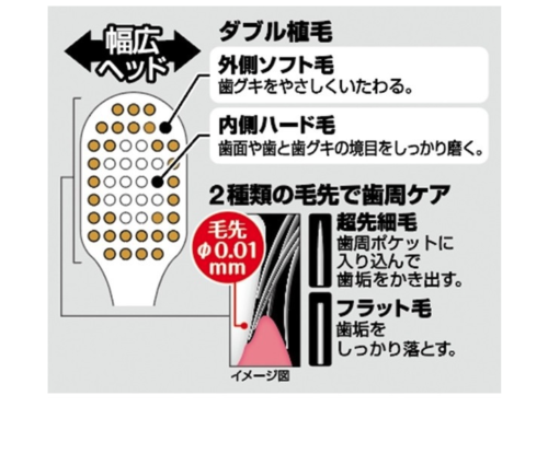 EBISU - Premium Care|#32 6列特級護理牙刷 | 大碼普通毛 | 4支| 顏色隨機 - 平行進口