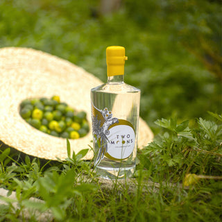Two Moons - Calamansi Gin 四季桔手工氈酒  700ml