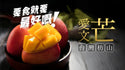 手足果欄 - 【原箱】台灣枋山愛文芒果 3KG 包運費