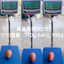 手足果欄 - 【原箱】台灣枋山愛文芒果 3KG 包運費