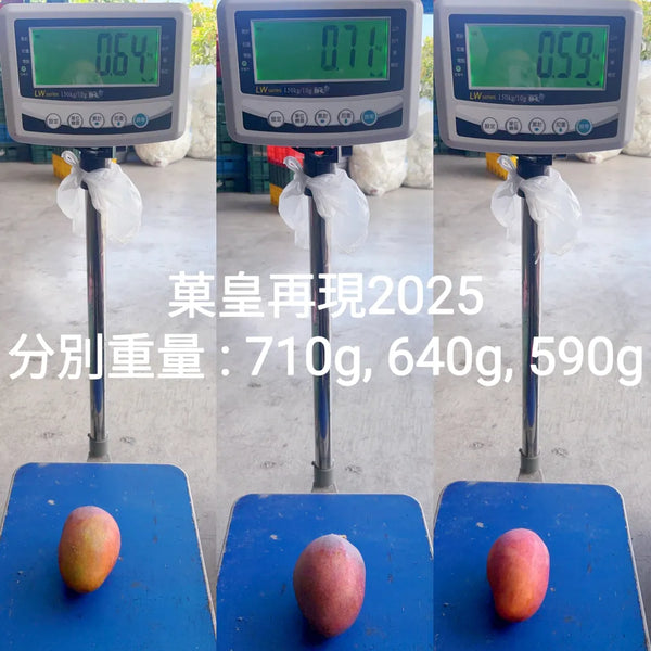 手足果欄 - 【原箱】台灣枋山愛文芒果 3KG 包運費
