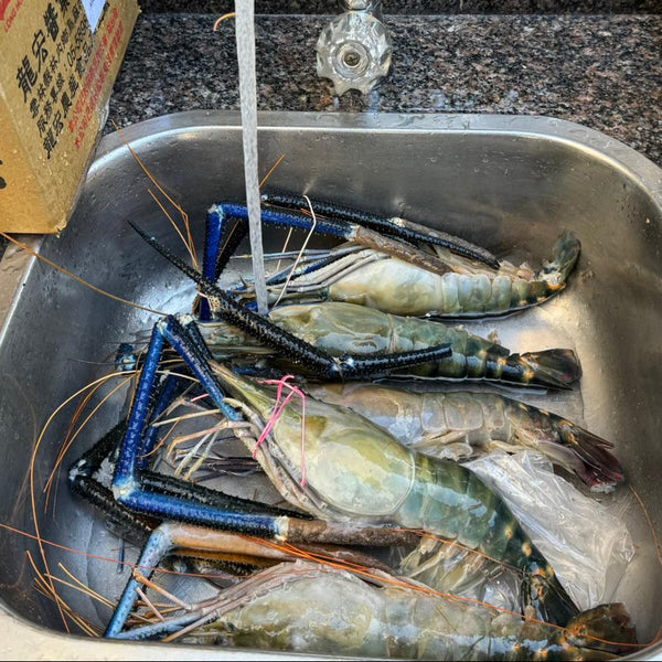 同人辦館 - 3-4人餐 大頭蝦 豬仔骨 燒烤懶人包套餐 (包運費)