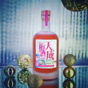 天成梅酒 - VAAU 伏特加 500ml