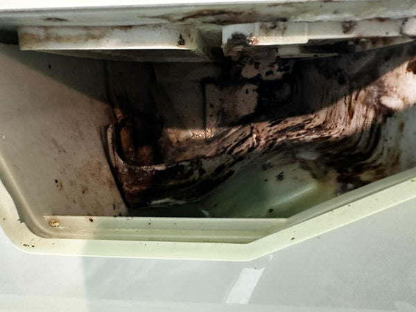 Biolux - 「限50名」上門 洗衣機深層清潔服務