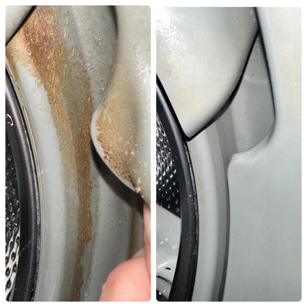 Biolux - 「限50名」上門 洗衣機深層清潔服務