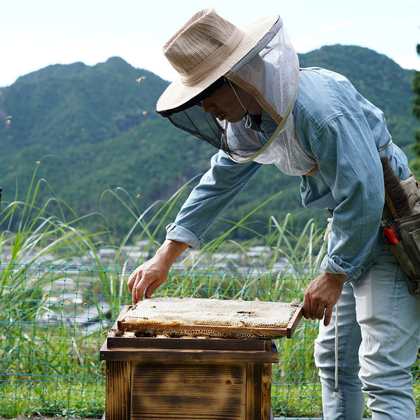 She - 京都蜂蜜酒 500ml + 京都蜂蜜 100g