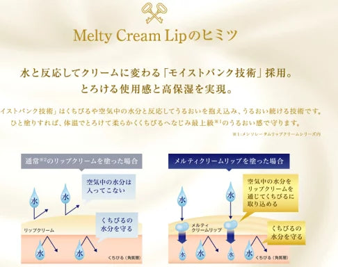 曼秀雷敦 - 溫感高保濕潤唇膏 Melty Cream Lip 濃厚蜜糖 2.4g