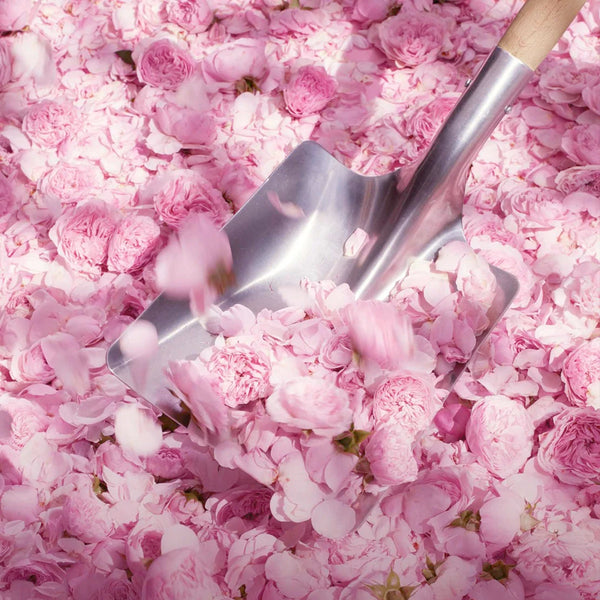 Christian Dior - 預訂｜Miss Dior Blooming Bouquet 花漾甜心淡香水 100ml - 平行進口
