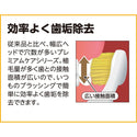 EBISU - Super Care｜#61 呵敏護齒牙刷 軟毛 B-181 | 4支| 顏色隨機 - 平行進口