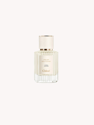 Chloé - 預訂｜仙境花園系列淡香精｜Herba Mimosa 淺吻含羞草 50ml - 平行進口